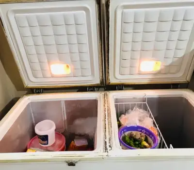 Waves Deep Freezer For Sale in Nazimabad, Karachi - photo 2