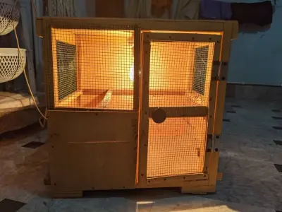 Wooden Brooders, Cages, Tables For Sale in Gulistan-e-Jauhar | Karachi Ads - photo 4
